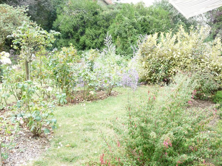 Clos Fleuri : Amboise Home With Amazing Gardens Exterior photo